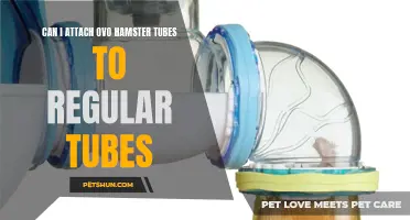 Attaching Ovo Hamster Tubes to Regular Tubes: FAQs and Tips
