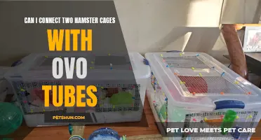 Connecting Two Hamster Cages with Ovo Tubes: A Fun and Functional Solution