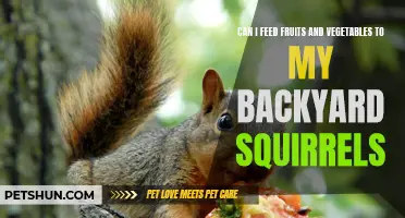 Feeding Fruits and Vegetables to Backyard Squirrels: What You Need to Know