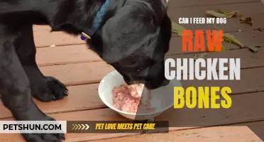 Raw Chicken Bones: Safe for Your Canine Companion?