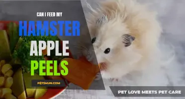 Feeding Your Hamster Apple Peels: What You Need to Know