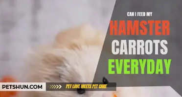 The Pros and Cons of Feeding Your Hamster Carrots Every Day