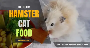 Feeding My Hamster Cat Food: Is it Safe?