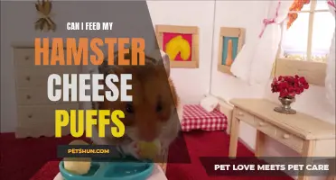 The Impact of Feeding Cheese Puffs to Hamsters