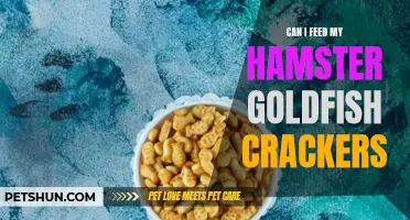 Feeding Goldfish Crackers to Hamsters: Is It Safe and Healthy?