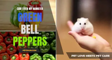 Feeding Green Bell Peppers to Your Hamster: What You Need to Know