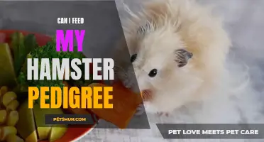 Feeding Your Hamster: Exploring the Pros and Cons of Pedigree