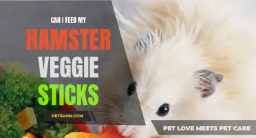 Feeding Veggie Sticks to Your Hamster: What You Need to Know
