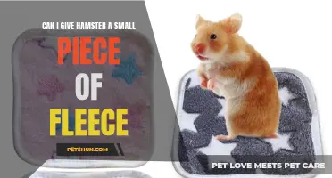 Is It Safe to Give a Hamster a Small Piece of Fleece as Bedding?