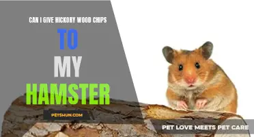Is It Safe to Give Hickory Wood Chips to My Hamster?