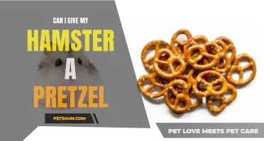 Feeding your Hamster: Can They Eat Pretzels?