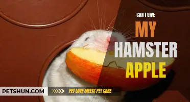 Feeding Apples to Hamsters: What You Need to Know