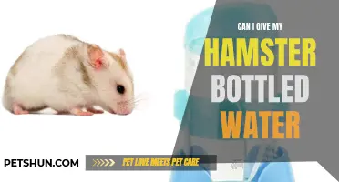 Is Giving Bottled Water Safe for My Hamster?