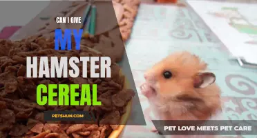 Is it Safe to Feed Cereal to My Hamster?