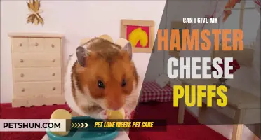 The Effects of Cheese Puffs on Hamsters: What You Need to Know