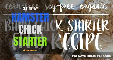 Is it Safe to Feed Chick Starter to My Hamster?