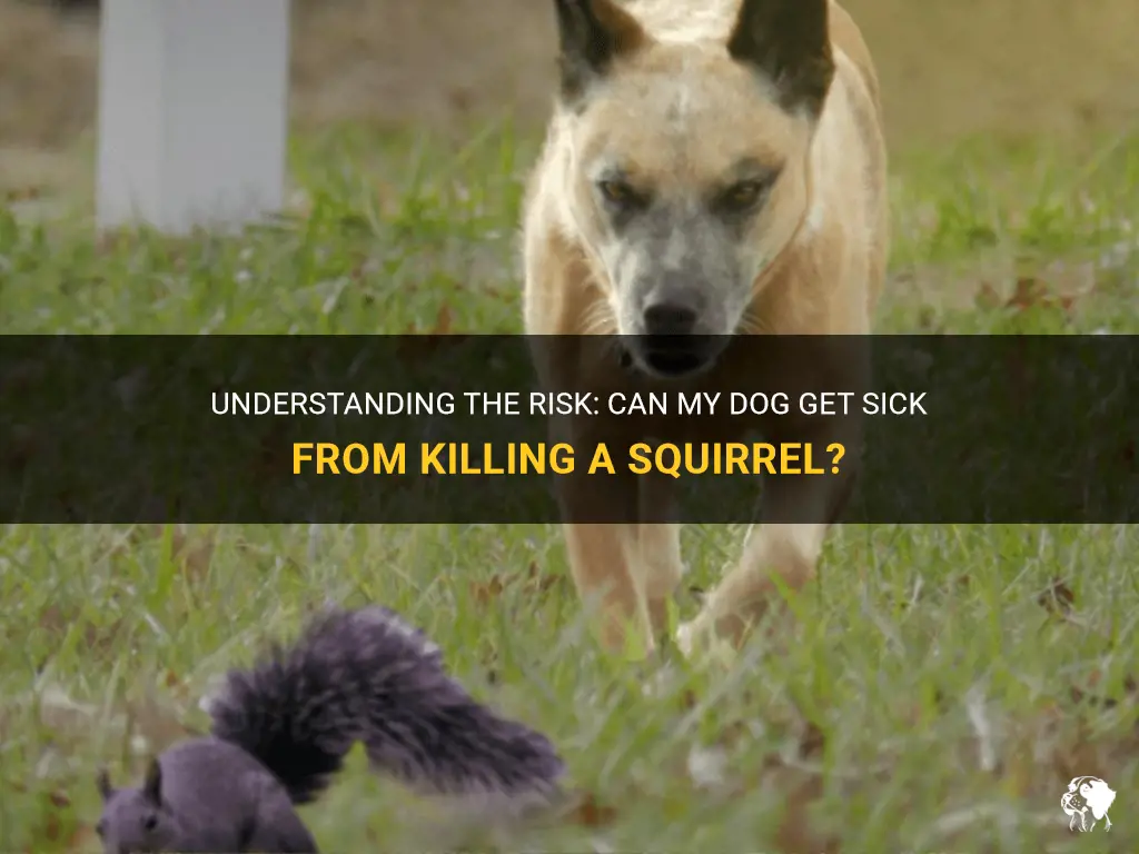 can my dog get sick from killing a squirrel