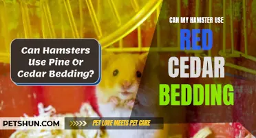 Is Red Cedar Bedding Safe for My Hamster? A Guide to Choosing the Best Bedding for Your Pet