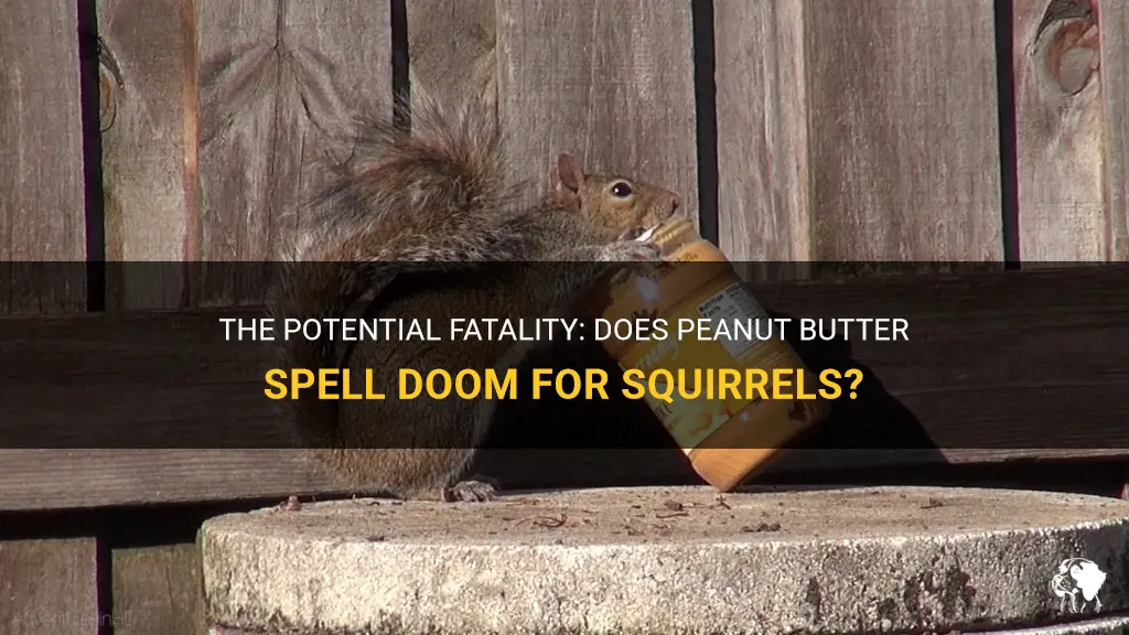 can peanut butter kill squirrels
