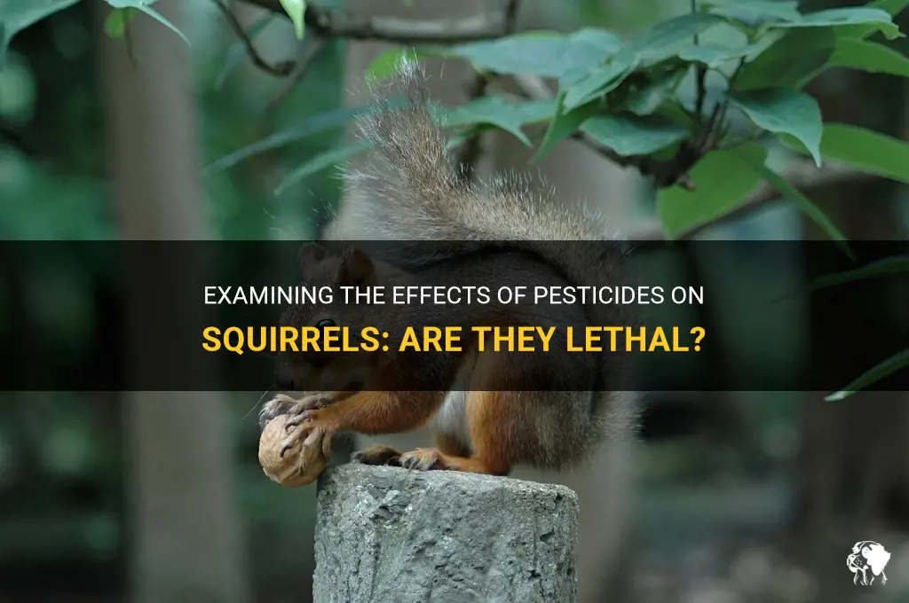 can pesticides kill squirrels