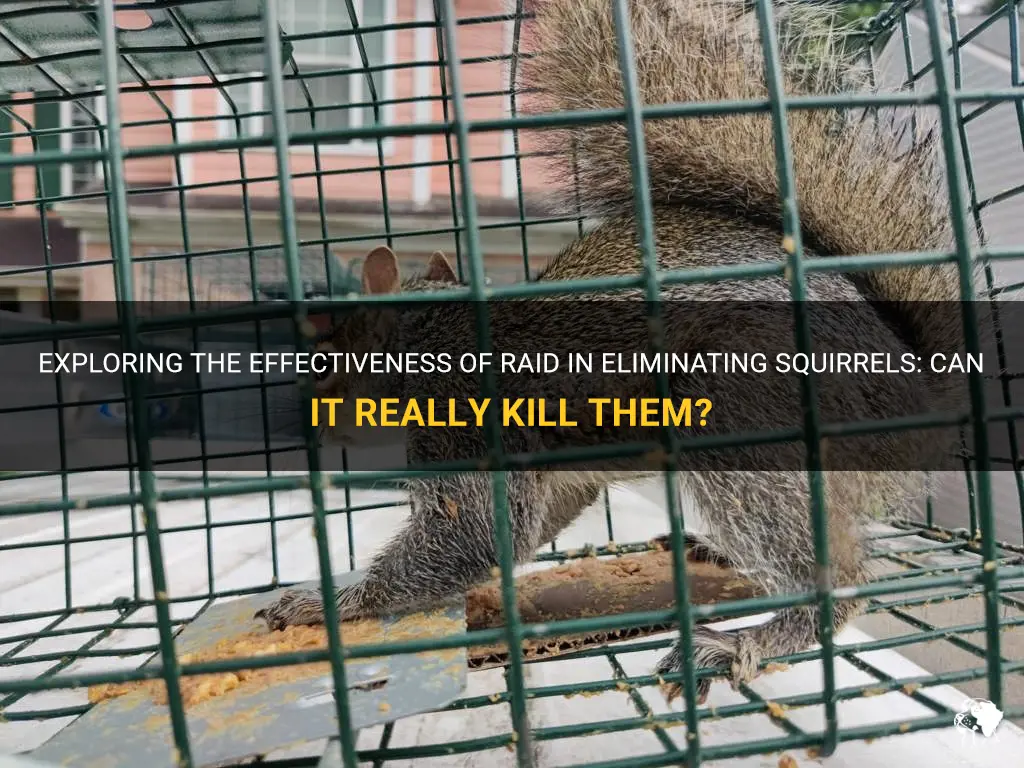 can raid kill squirrels