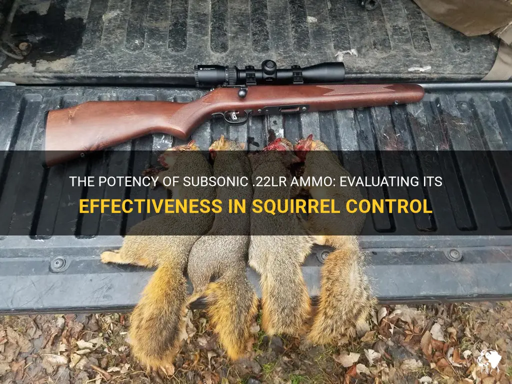 can subsonic 22lr kill squirrels