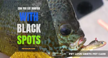 Exploring the Safety and Nutritional Value of Eating Sunfish with Black Spots