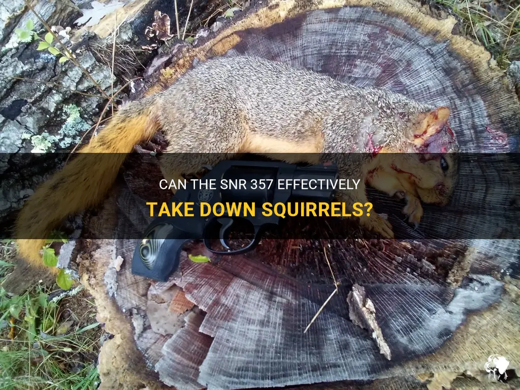 can you kill a squirrel with the snr 357