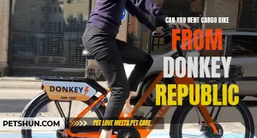 Where Can You Rent a Cargo Bike from Donkey Republic?