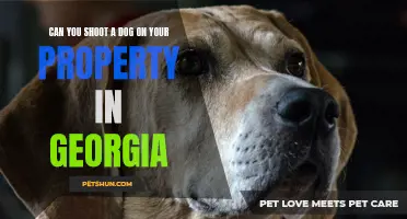 Georgia's laws on shooting dogs on private property