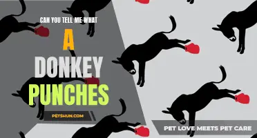 Exploring the Infamous Act: Can You Tell Me What a Donkey Punch Is?