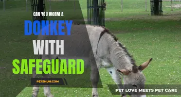 Worming a Donkey: Is Safeguard an Effective Solution?