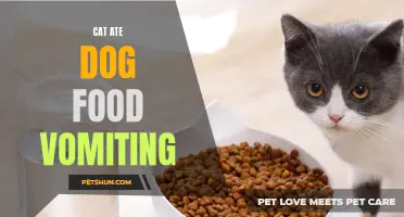When a Cat Eats Dog Food: Common Issues and How to Handle Vomiting