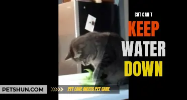 When the Cat Can't Keep Water Down: Understanding Feline Dehydration