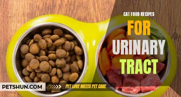 Delicious Cat Food Recipes for a Healthy Urinary Tract