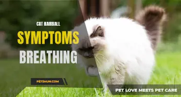 Understanding the Signs of Breathing Difficulties in Cats Caused by Hairballs