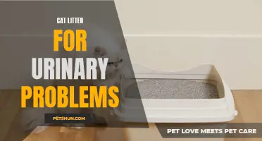 The Best Cat Litter for Urinary Problems: Find Out Which One is Right for Your Pet