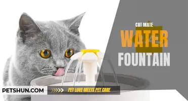 Why Every Cat Needs a Cat Mate Water Fountain