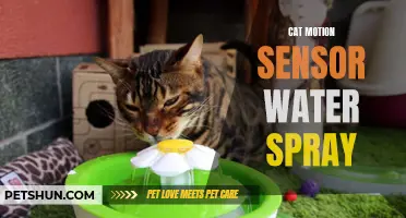 How a Cat Motion Sensor Water Spray Can Help Train Your Feline Companion
