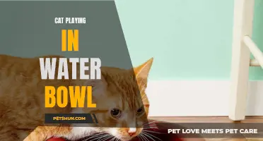 The Playful Feline: Cat Engages in Hilarious Water Bowl Antics