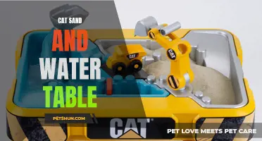 The Ultimate Guide to Choosing the Perfect Cat Sand and Water Table
