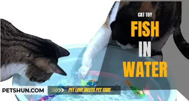The Fascinating World of Cat Toy Fish in Water: Interactive Entertainment for Your Feline Friend