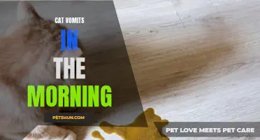 Why Is My Cat Vomiting in the Morning? Understanding the Causes and Finding Solutions