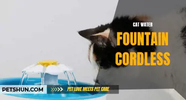 Cordless Cat Water Fountains: The Convenient Solution for Hydrated Felines