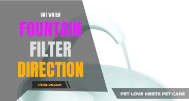 Finding the Right Direction for Your Cat Water Fountain Filter