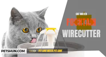 The Best Cat Water Fountain According to Wirecutter's Reviewers