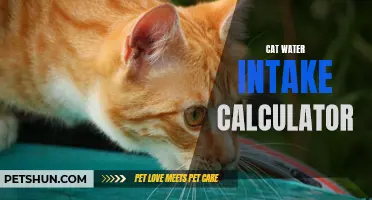 Understanding the Importance of Monitoring Your Cat's Water Intake with a Water Intake Calculator