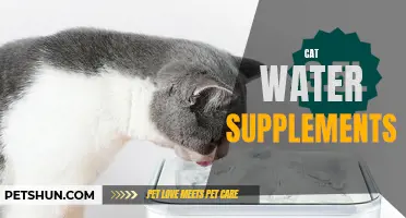 How Cat Water Supplements Can Benefit Your Feline Companion