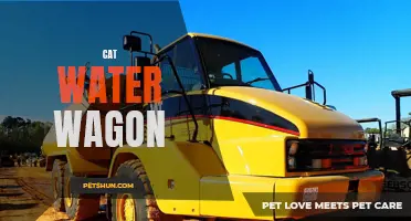 The Importance of a Cat Water Wagon for Keeping Your Feline Friend Hydrated