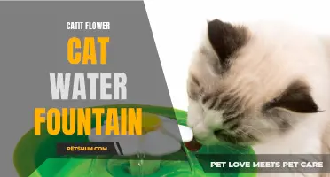 Why Cat Owners Love the Catit Flower Cat Water Fountain